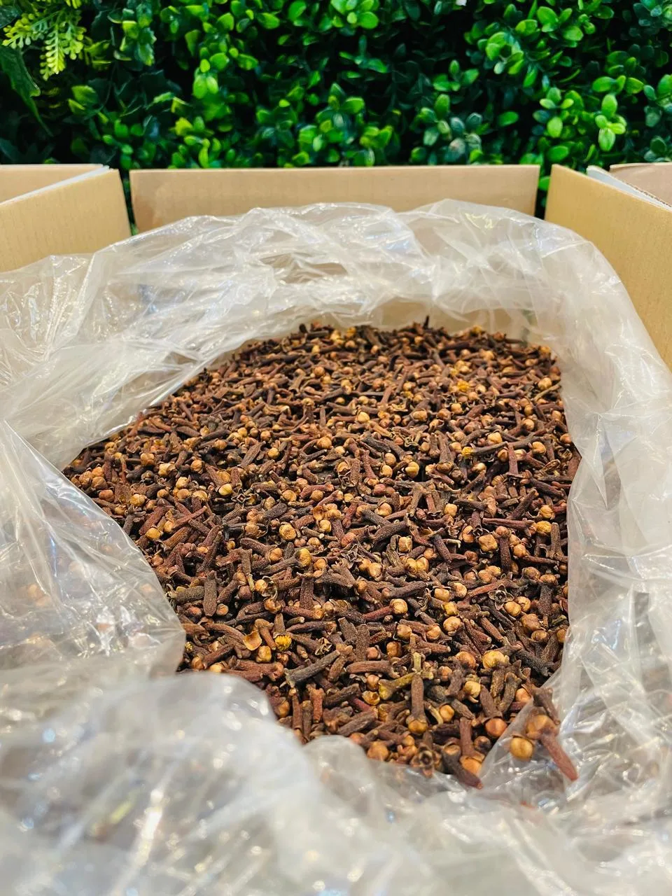 Captain World Trade Ltd Agro Items Cloves 1