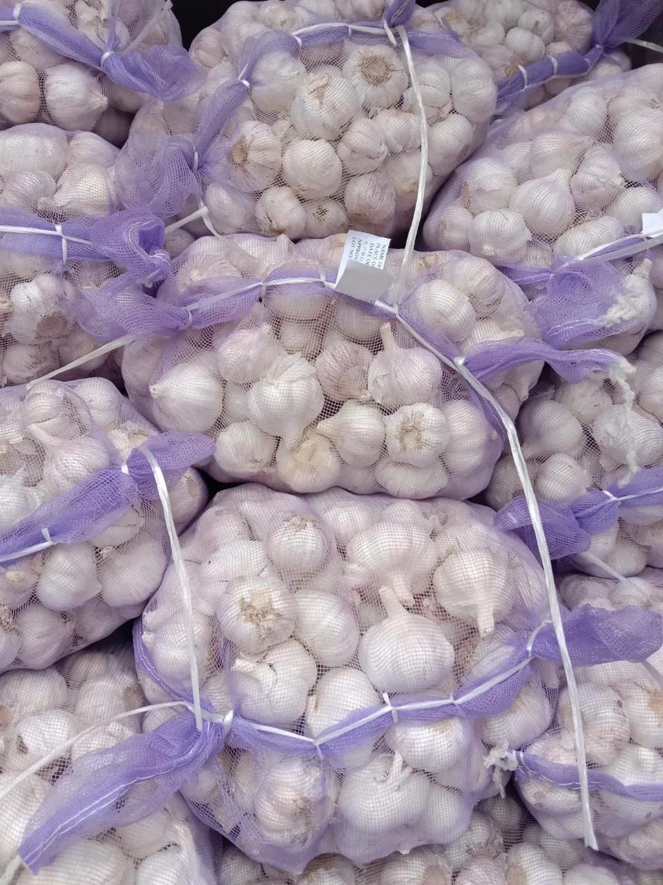 Captain World Trade Ltd Agro Items Garlic