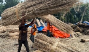 Workers processing jute sticks into eco-friendly charcoal in Bangladesh | Captain Charcoal Industries Ltd.